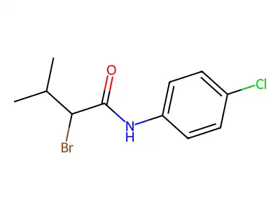 2-bromo-N-(4-chlorophenyl)-3-methylbutanamide structure