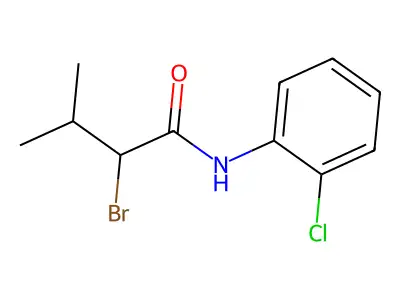 2-bromo-N-(2-chlorophenyl)-3-methylbutanamide structure