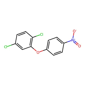 1,4-Dichloro-2-(4-nitrophenoxy)benzene structure