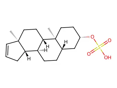 8-Quinolyl acrylate structure