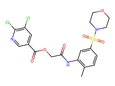 (2-methyl-5-morpholin-4-ylsulfonyl-phenyl)carbamoylmethyl 5,6-dichloropyridine-3-carboxylate structure