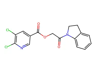 2-(2,3-dihydro-1H-indol-1-yl)-2-oxoethyl 5,6-dichloropyridine-3-carboxylate structure