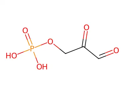 4,4,4-Trifluoro-2-methyl-1-(thiophen-2-yl)butane-1,3-dione structure