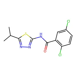 2,5-dichloro-N-(5-isopropyl-1,3,4-thiadiazol-2-yl)benzamide structure
