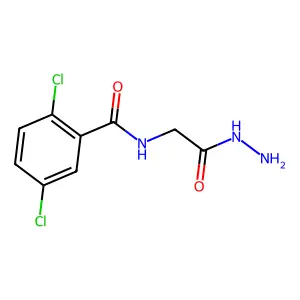 2,5-dichloro-N-(2-hydrazinyl-2-oxoethyl)benzamide structure