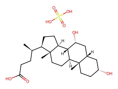 Chenodeoxycholate sulfate conjugate structure