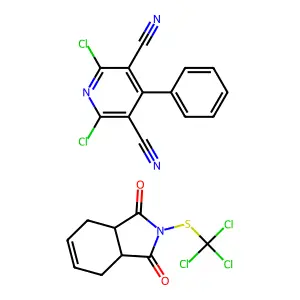 Ciluan structure