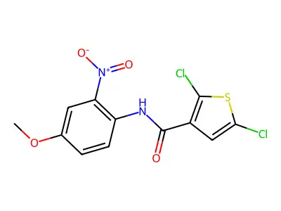 2,5-dichloro-N-(4-methoxy-2-nitrophenyl)thiophene-3-carboxamide structure