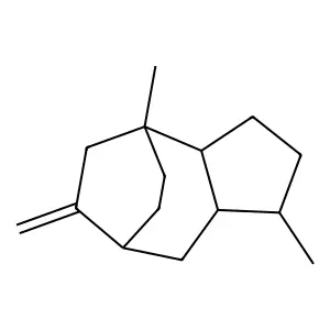 Isorotundene structure