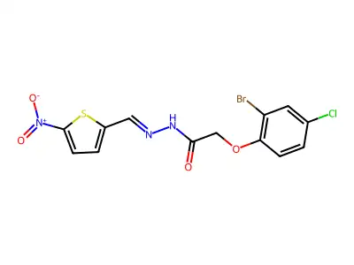 BIM-0021117.P001 structure
