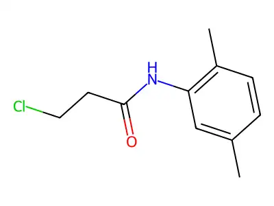 3-chloro-N-(2,5-dimethylphenyl)propanamide structure