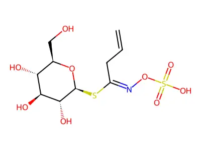 Sinigrin hydrate structure