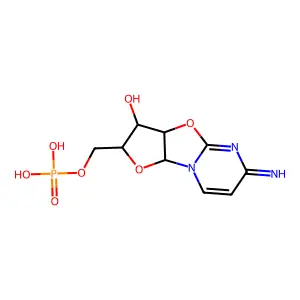 cyclo-CMP structure