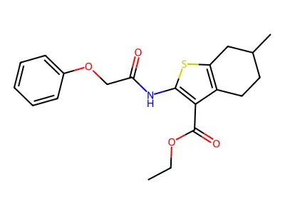 ethyl 6-methyl-2-[(phenoxyacetyl)amino]-4,5,6,7-tetrahydro-1-benzothiophene-3-carboxylate structure