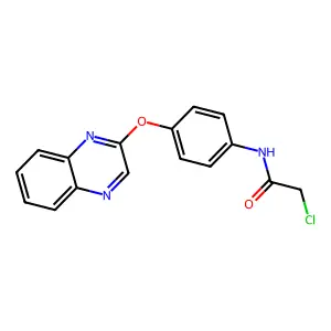 2-chloro-N-[4-(2-quinoxalinyloxy)phenyl]acetamide structure