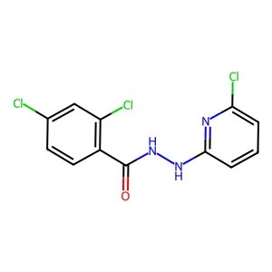 2,4-dichloro-N'-(6-chloro-2-pyridinyl)benzenecarbohydrazide structure