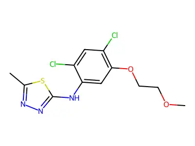 N-[2,4-dichloro-5-(2-methoxyethoxy)phenyl]-5-methyl-1,3,4-thiadiazol-2-amine structure
