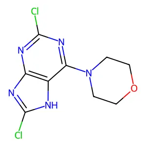 4-(2,8-dichloro-7H-purin-6-yl)morpholine structure