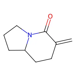 6-Methylidene-1,2,3,7,8,8a-hexahydroindolizin-5-one structure