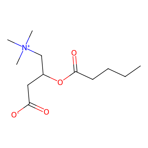O-valeroylcarnitine structure