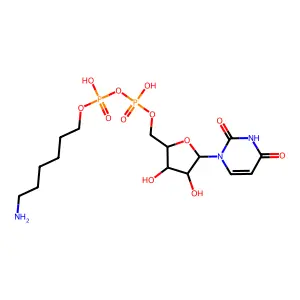 6-Aminohexyl-uridine-C1,5'-diphosphate structure