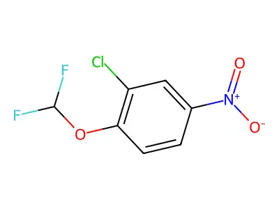 2-Chloro-1-(difluoromethoxy)-4-nitrobenzene structure
