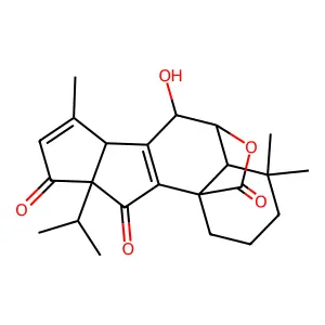 J1.815.736E structure