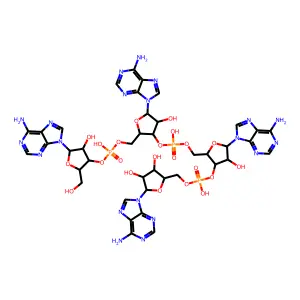 Adenylyl-(3'-5')-adenylyl-(3'-5')-adenylyl-(3'-5')-adenosine structure