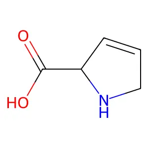 3,4-Dehydro-L-proline structure