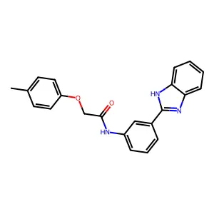 N-[3-(1H-benzimidazol-2-yl)phenyl]-2-(4-methylphenoxy)acetamide structure