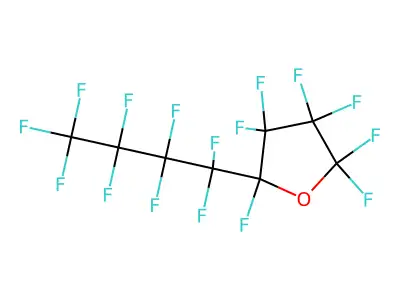 Neopeviton structure