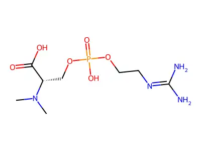 Thalassemine structure