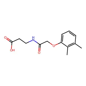 3-[2-(2,3-Dimethylphenoxy)acetamido]propanoic acid structure