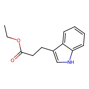 Phenylalanyl adenylate structure
