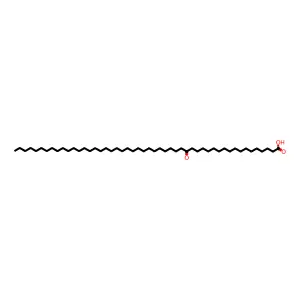 18-Oxopentacontanoic acid structure