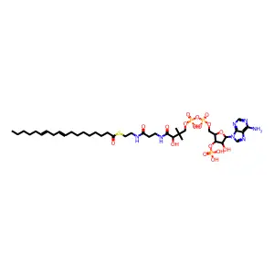 Coenzyme A, S-9,12-octadecadienoate structure