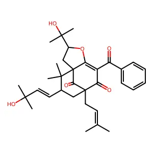 Hyperibone H structure