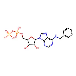 N6-Benzyl Adenosine-5'-Diphosphate structure