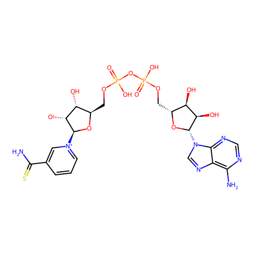 Thionicotinamide adenine dinucleotide structure