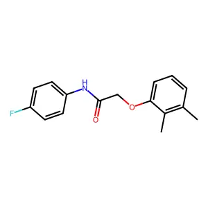2-(2,3-dimethylphenoxy)-N-(4-fluorophenyl)acetamide structure