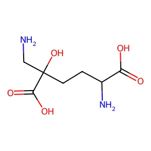 Tabtoxinine structure