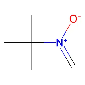 2-Propanamine, 2-methyl-N-methylene-, N-oxide structure