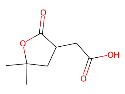 2-[(3R)-5,5-dimethyl-2-oxooxolan-3-yl]acetic acid structure