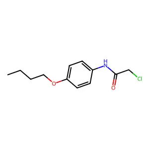 N-(4-butoxyphenyl)-2-chloroacetamide structure