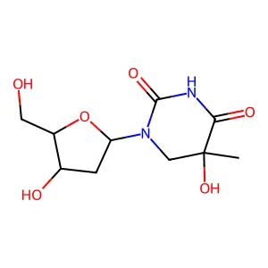 Thymidine C5-hydrate structure