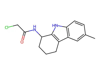 2-chloro-N-(6-methyl-2,3,4,9-tetrahydro-1H-carbazol-1-yl)acetamide structure