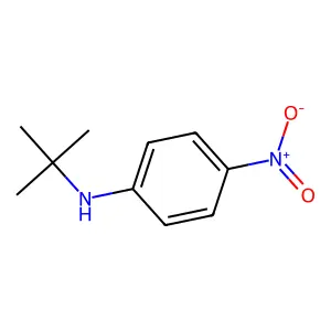 N-(1,1-Dimethylethyl)-4-nitrobenzenamine structure