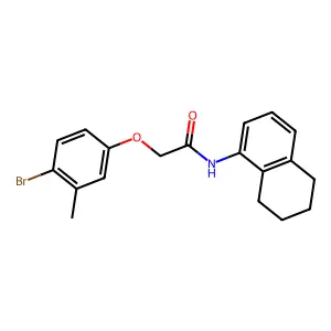 2-(4-bromo-3-methylphenoxy)-N-(5,6,7,8-tetrahydronaphthalen-1-yl)acetamide structure