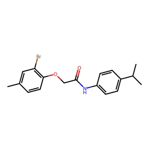 2-(2-bromo-4-methylphenoxy)-N-(4-propan-2-ylphenyl)acetamide structure