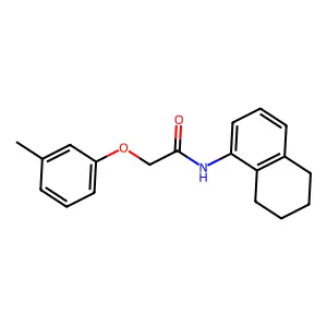 2-(3-methylphenoxy)-N-(5,6,7,8-tetrahydronaphthalen-1-yl)acetamide structure
